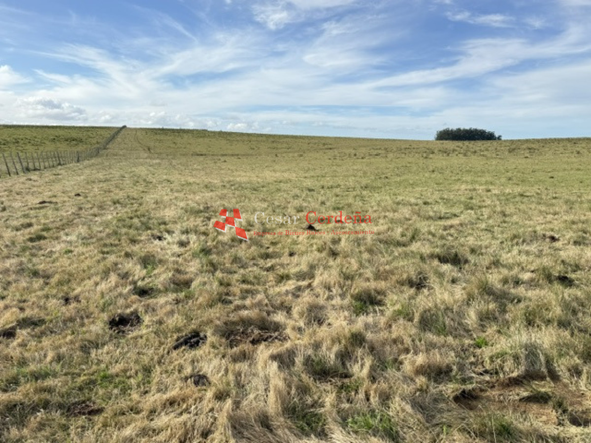 Campo Ref.2007 - VENTA - Campo 655 hectáreas cercano a Velazquez