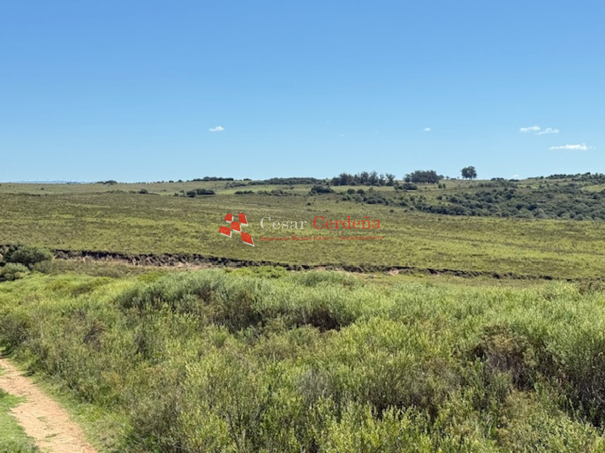 Campo Ref.1947 - VENTA - Campo 316 hectareas en Garzon, Rocha