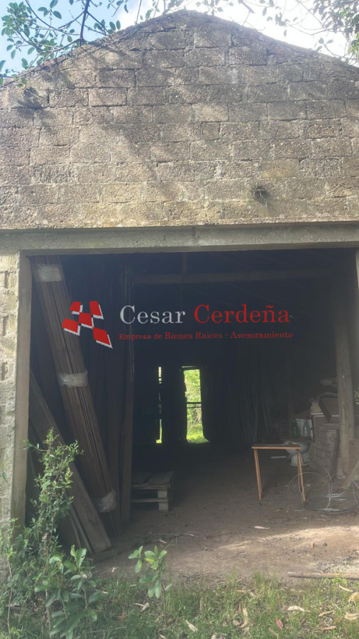 Campo Ref.1956 - VENTA - Campo 295 hectáreas en 19 de Abril - Rocha