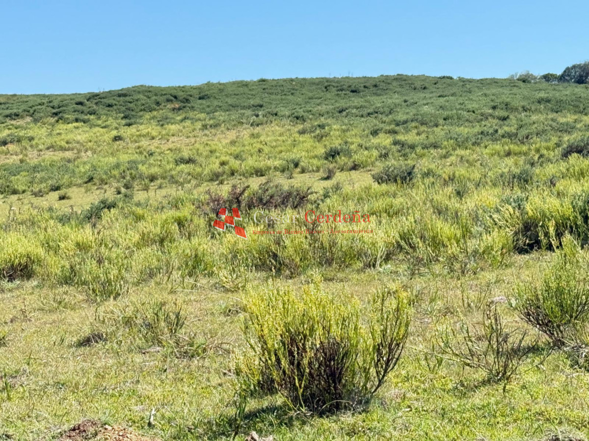 Campo Ref.1990 - VENTA - Campo 112 hectareas en La Carbonera, Rocha