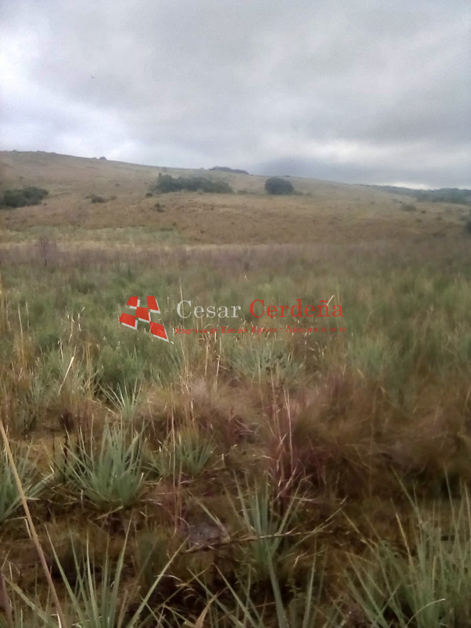 Campo Ref.1721 - VENTA - Campo 78 hectareas en Garzon