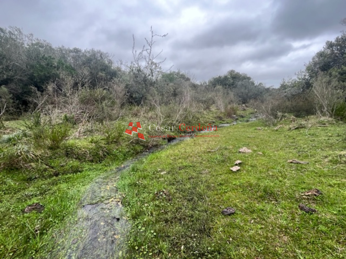 Campo Ref.1900 - VENTA - Campito de 86 hectáreas en las Sierras
