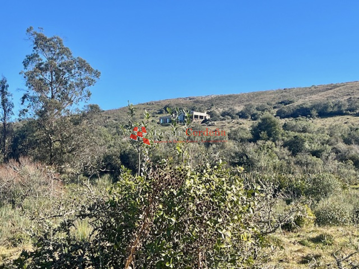 Campo Ref.1887 - VENTA - Campo 79 hectareas ruta 109