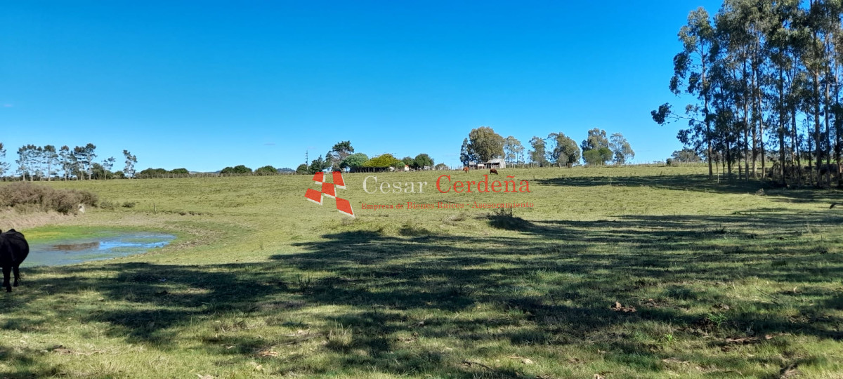 Campo Ref.1937 - VENTA - Campo de 83 hectáreas en Maldonado