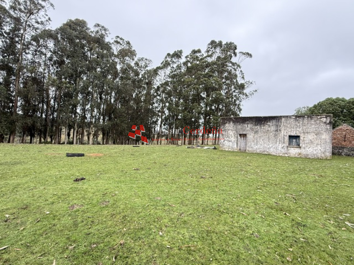 Campo Ref.1964 - VENTA - Campito 59 hectáreas - Castillos, Rocha