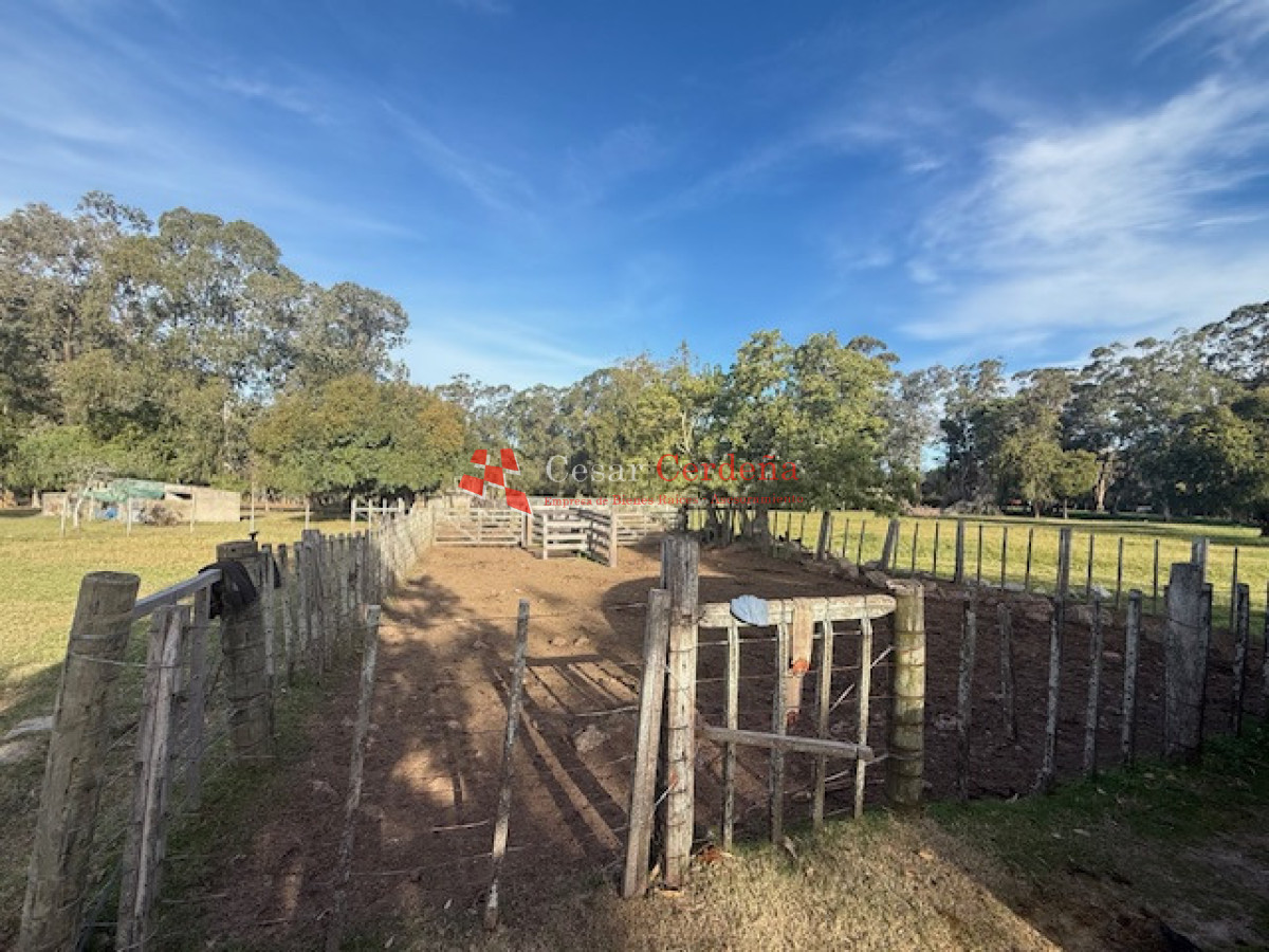 Campo Ref.1998 - VENTA - Campo 358 hectáreas en Garzón, Rocha