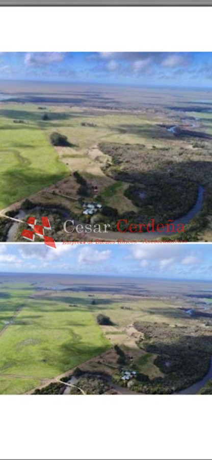 Campo Ref.1850 - VENTA - 735 HECTAREAS ROCHA
