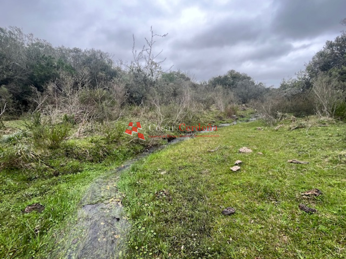 Campo Ref.1900 - VENTA - Campito de 86 hectáreas en las Sierras