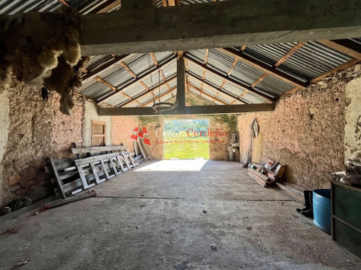 Campo Ref.1887 - VENTA - Campo 79 hectareas ruta 109
