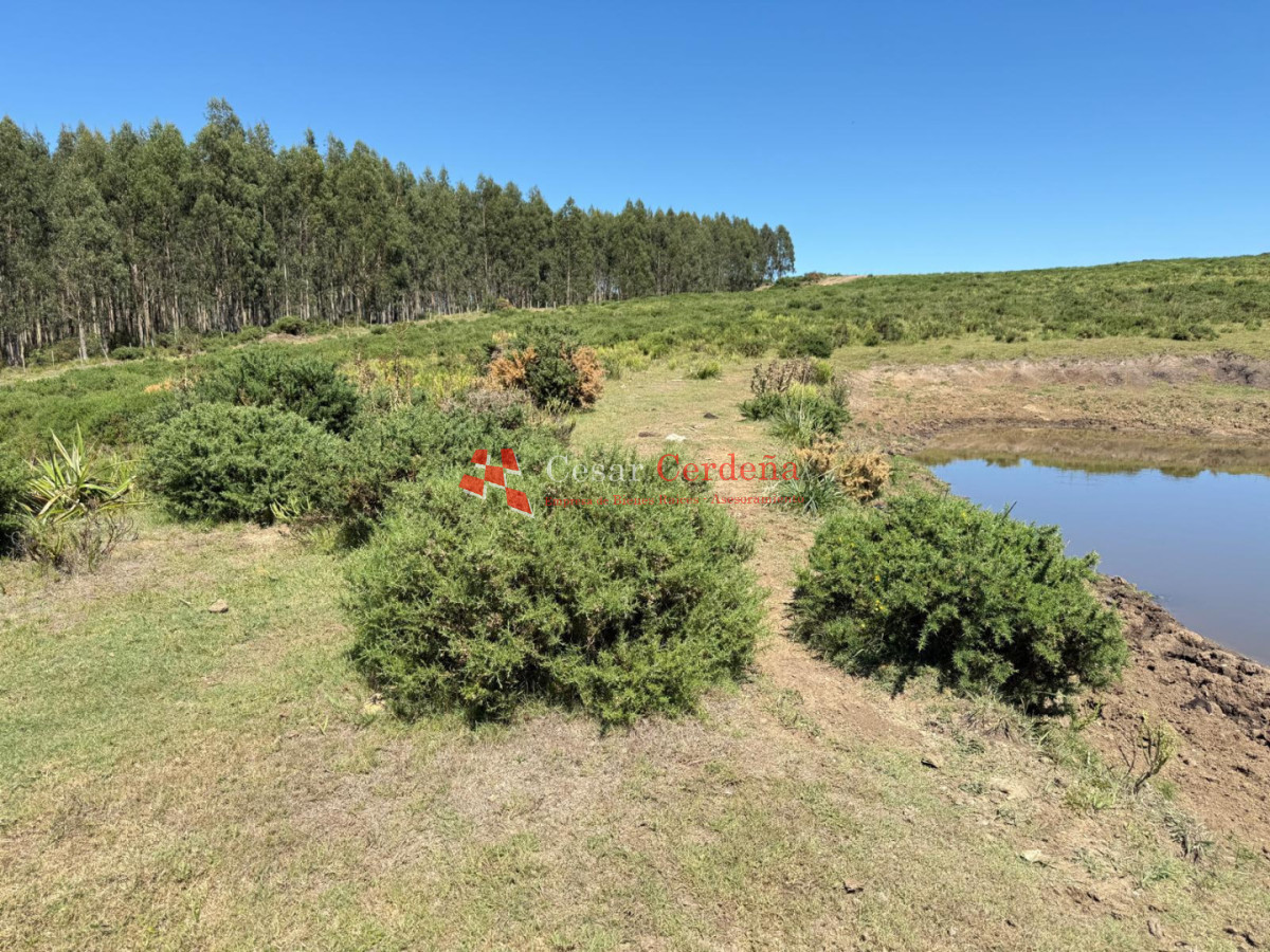 Campo Ref.1990 - VENTA - Campo 112 hectareas en La Carbonera, Rocha