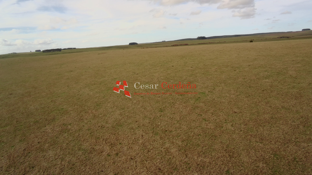 Campo Ref.2007 - VENTA - Campo 655 hectáreas cercano a Velazquez