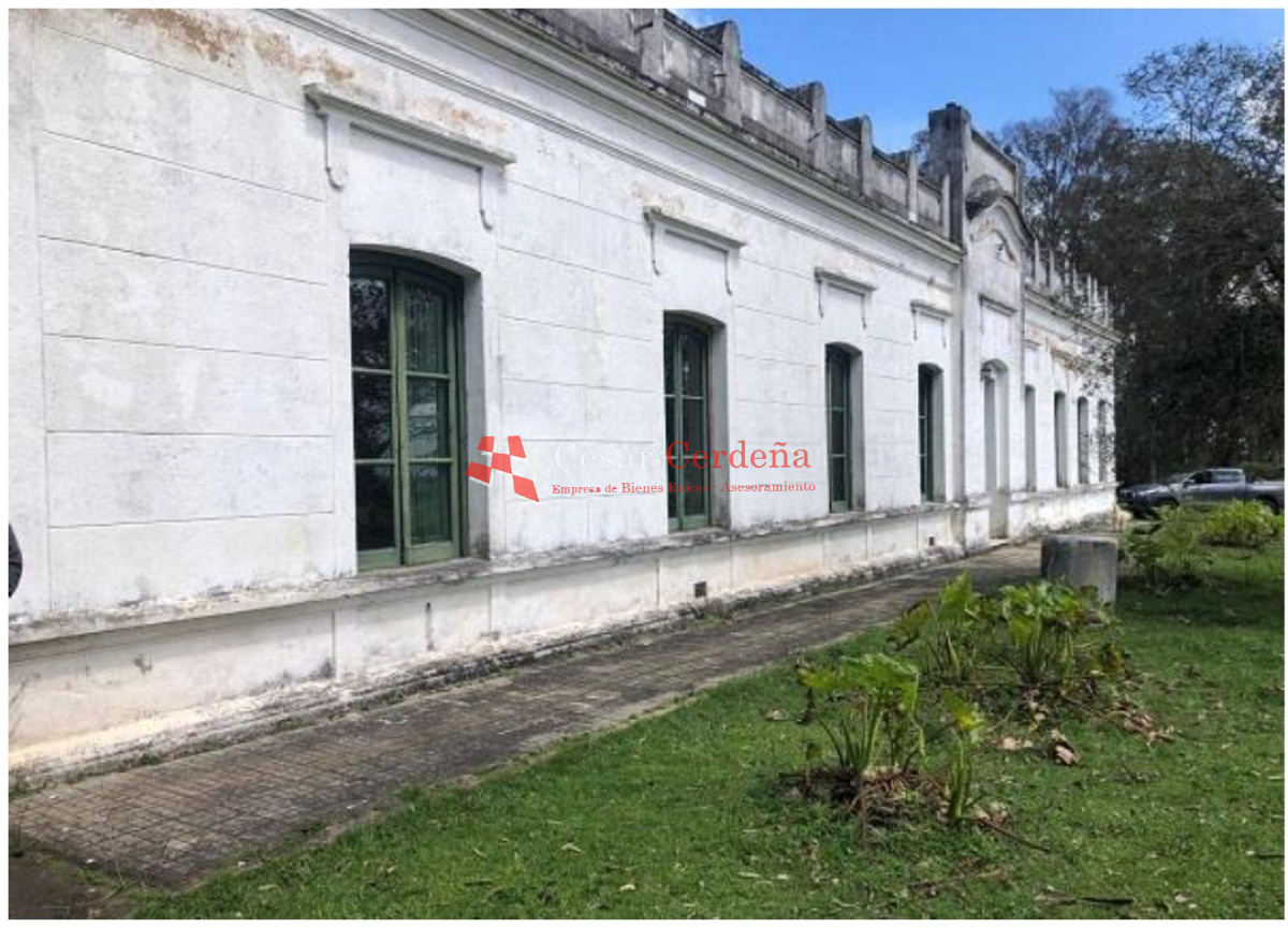 Campo Ref.1908 - VENTA - Campo 1228 hectareas - Treinta y Tres