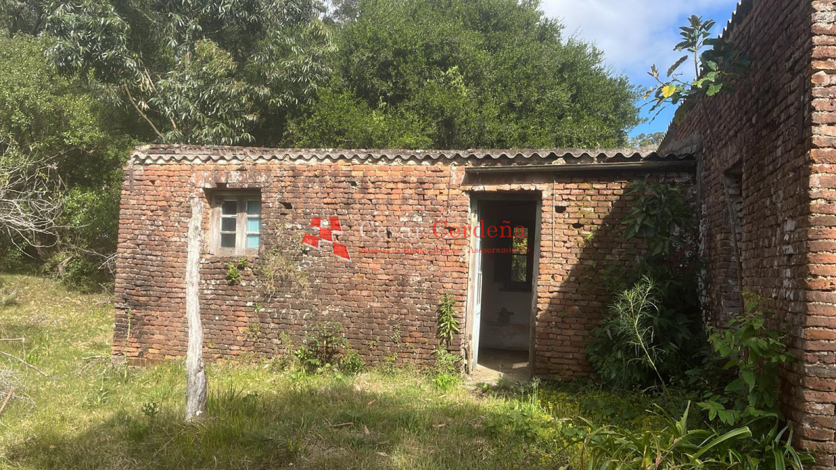 Campo Ref.1956 - VENTA - Campo 295 hectáreas en 19 de Abril - Rocha