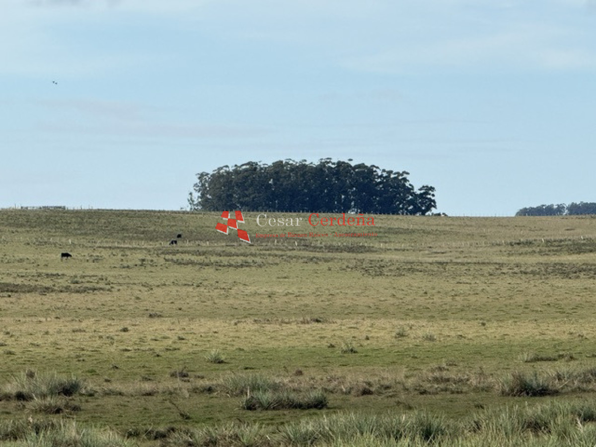 Campo Ref.2007 - VENTA - Campo 655 hectáreas cercano a Velazquez