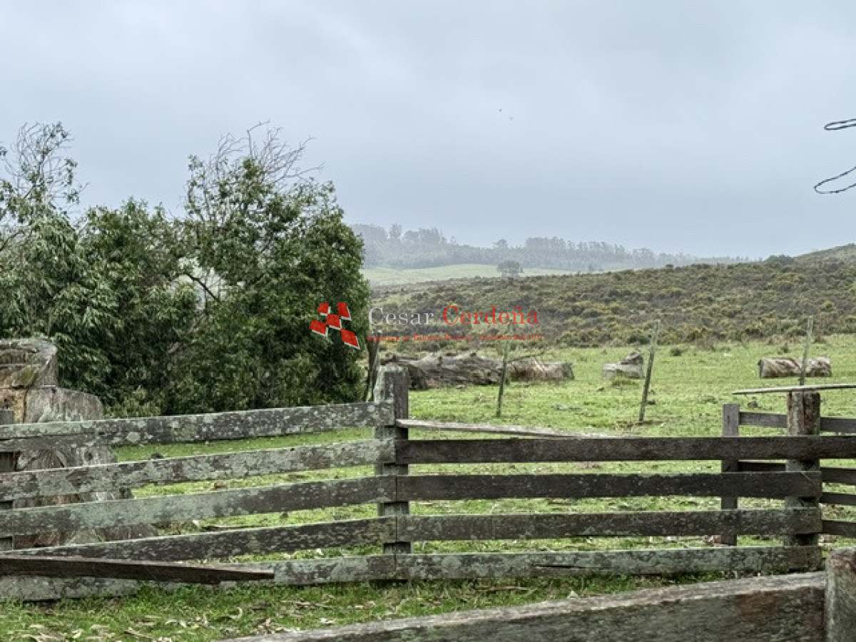Campo Ref.1964 - VENTA - Campito 59 hectáreas - Castillos, Rocha