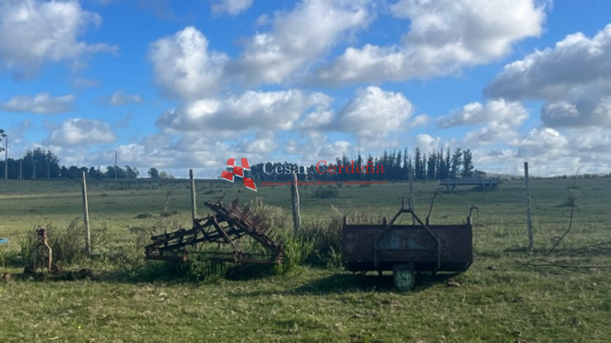 Campo Ref.1937 - VENTA - Campo de 83 hectáreas en Maldonado
