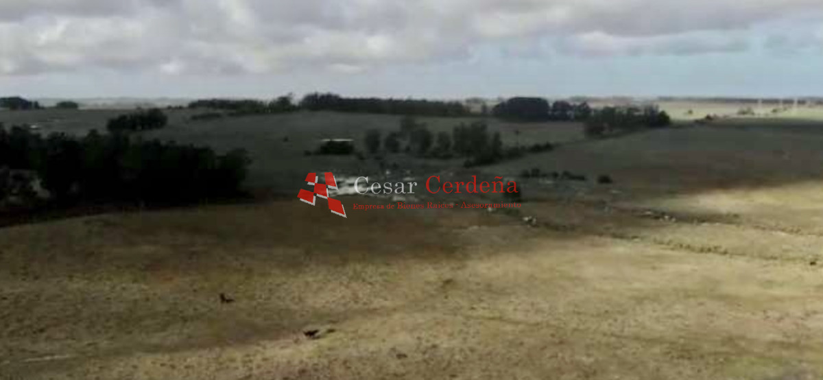 Campo Ref.1895 - VENTA - 73 has en Rocha