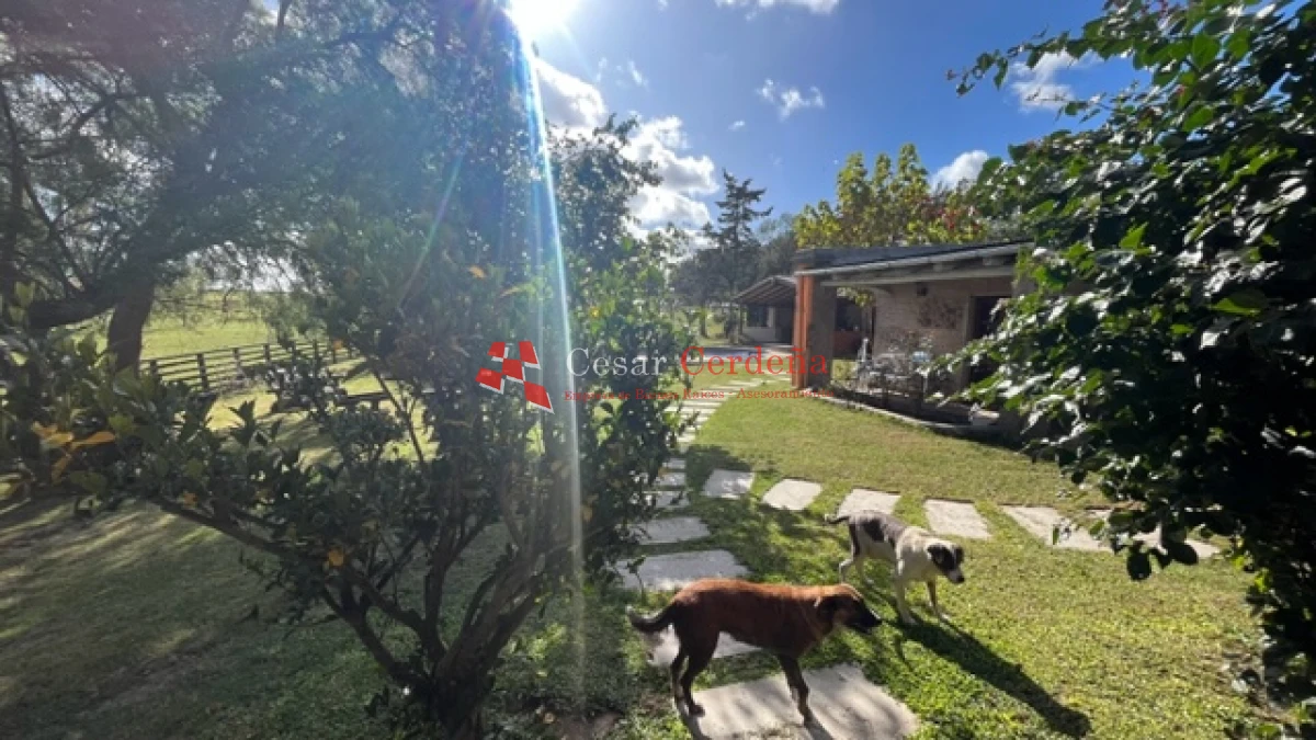 Campo Ref.1780 - VENTA - Campo de 83 hectáreas en Maldonado