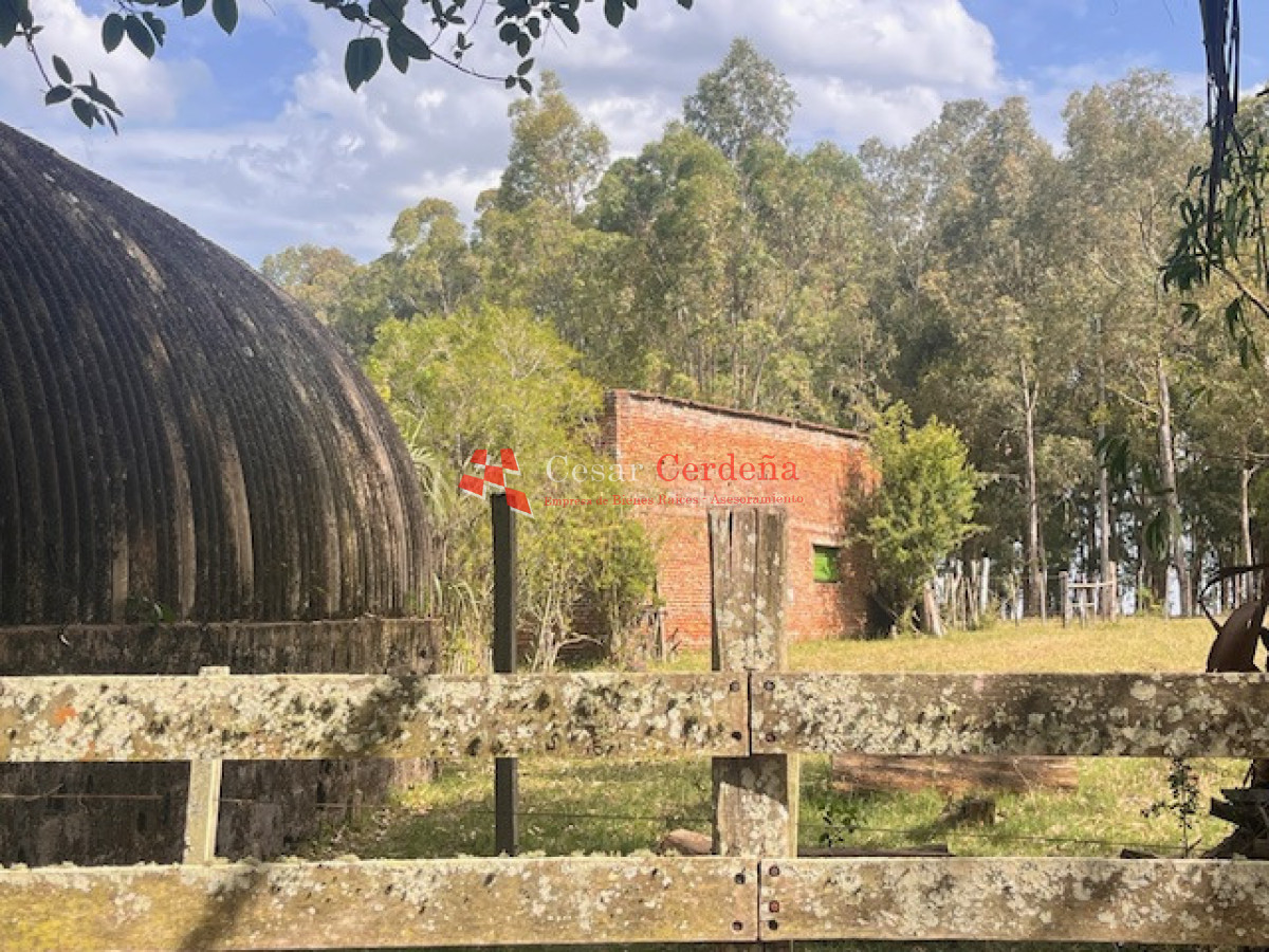 Campo Ref.1952 - VENTA - Campo 138 hectareas en Castillos Rocha