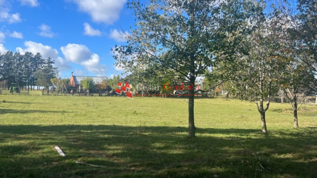 Campo Ref.1937 - VENTA - Campo de 83 hectáreas en Maldonado