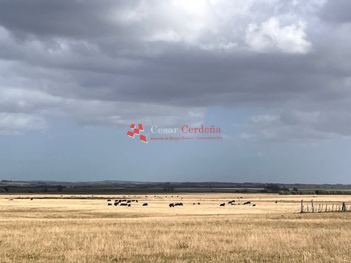 Campo Ref.1951 - VENTA - Campo 754 hectáreas - Rocha