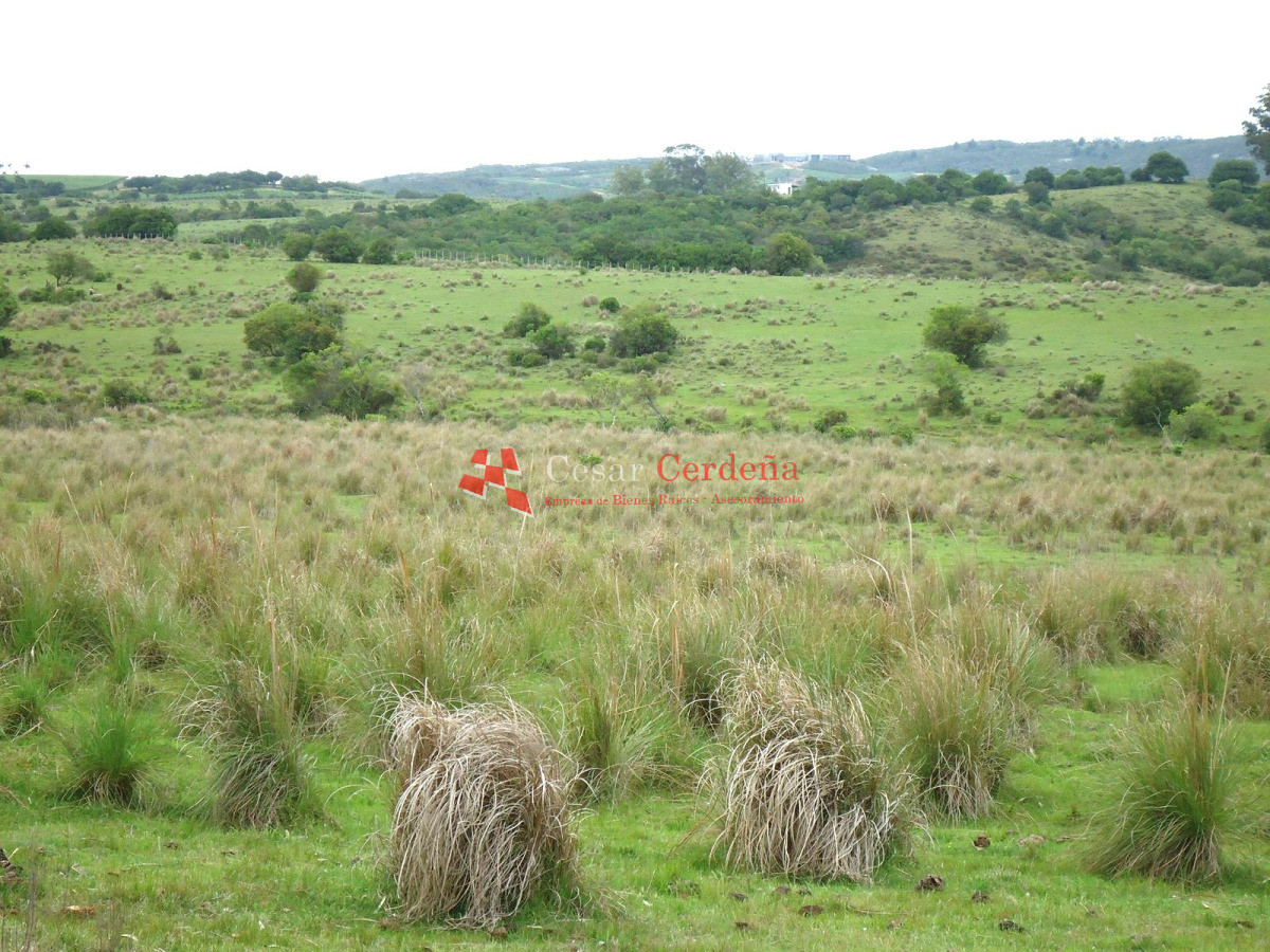 Campo Ref.1947 - VENTA - Campo 316 hectareas en Garzon, Rocha