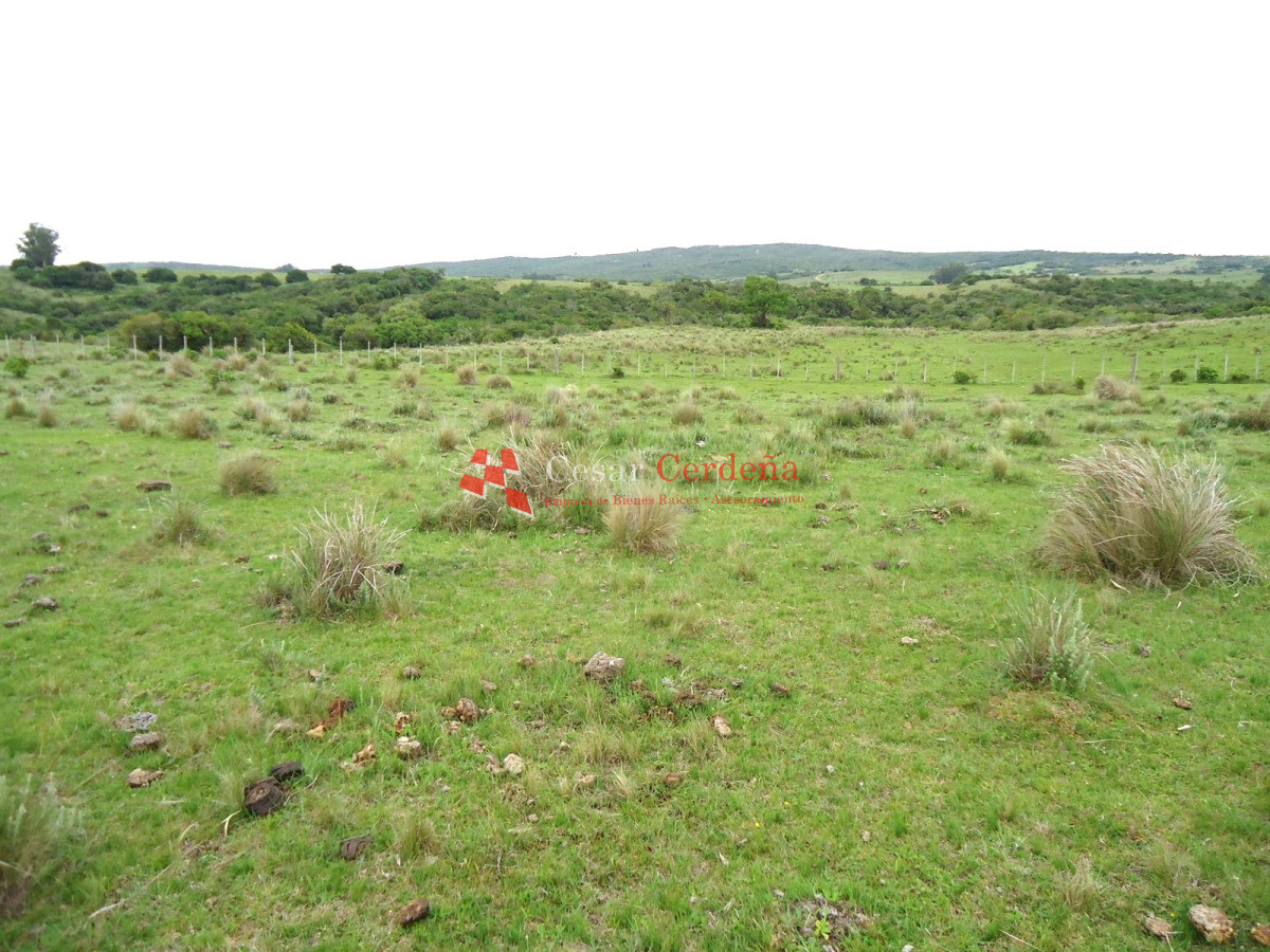 Campo Ref.1947 - VENTA - Campo 316 hectareas en Garzon, Rocha