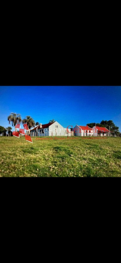Campo Ref.1870 - VENTA - Campo 265 hectareas en Castillos Rocha