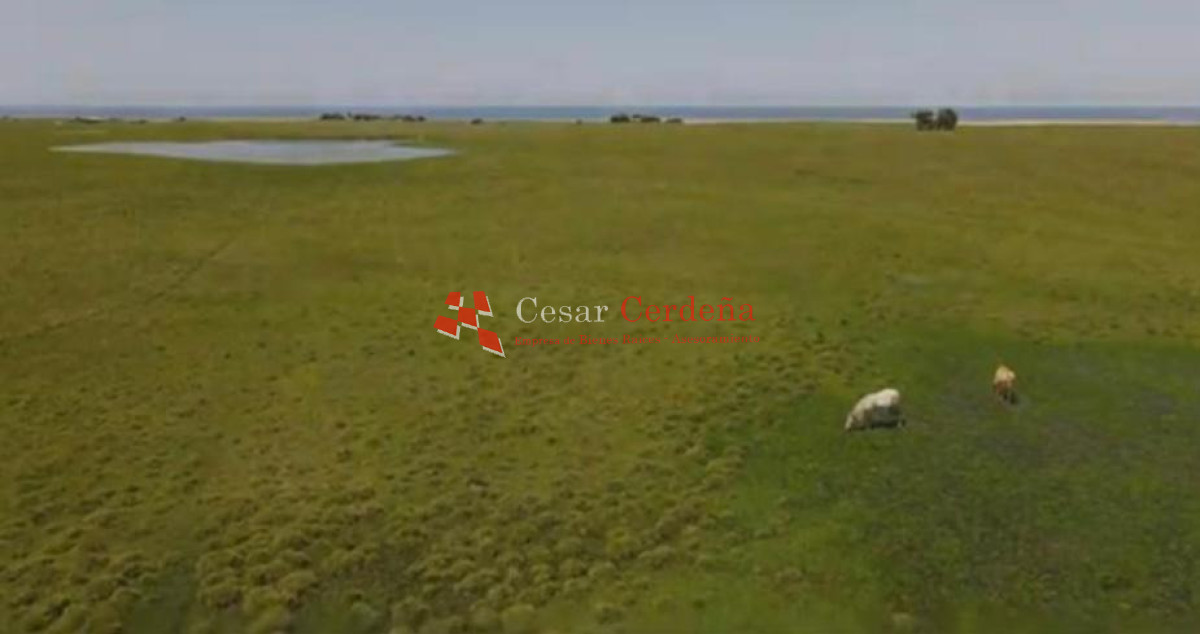 Campo Ref.1962 - VENTA - Campo 145 hectareas - Polonio