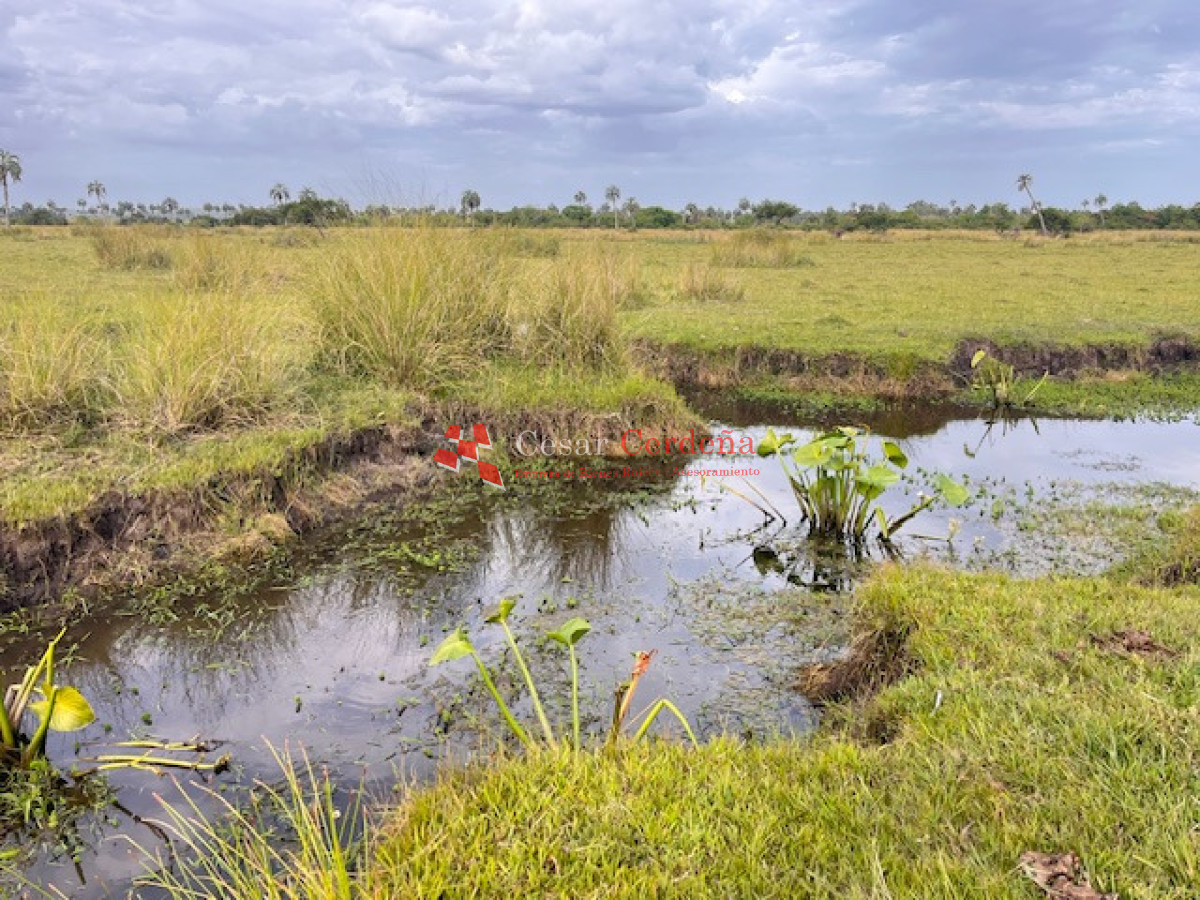 Campo Ref.1952 - VENTA - Campo 138 hectareas en Castillos Rocha