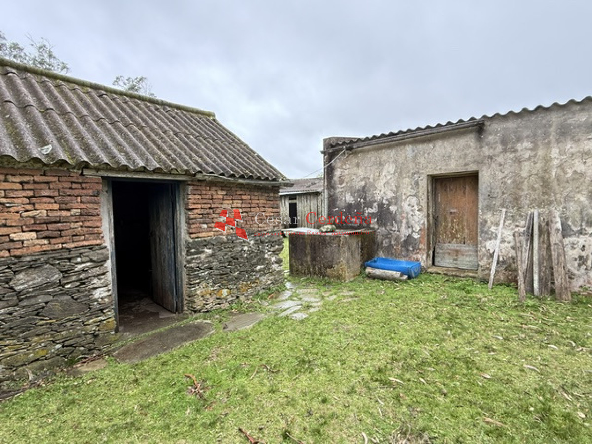 Campo Ref.1964 - VENTA - Campito 59 hectáreas - Castillos, Rocha