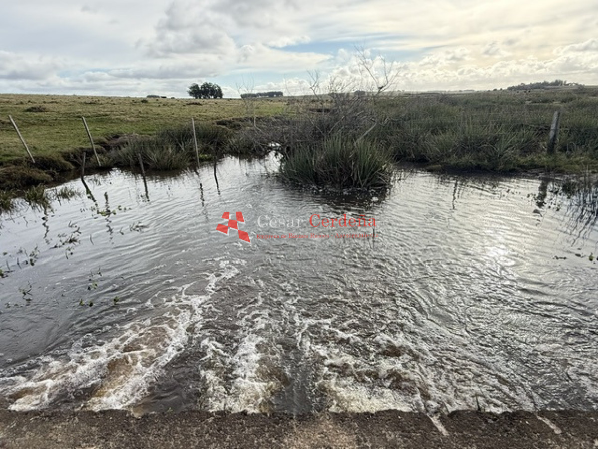 Campo Ref.2007 - VENTA - Campo 655 hectáreas cercano a Velazquez