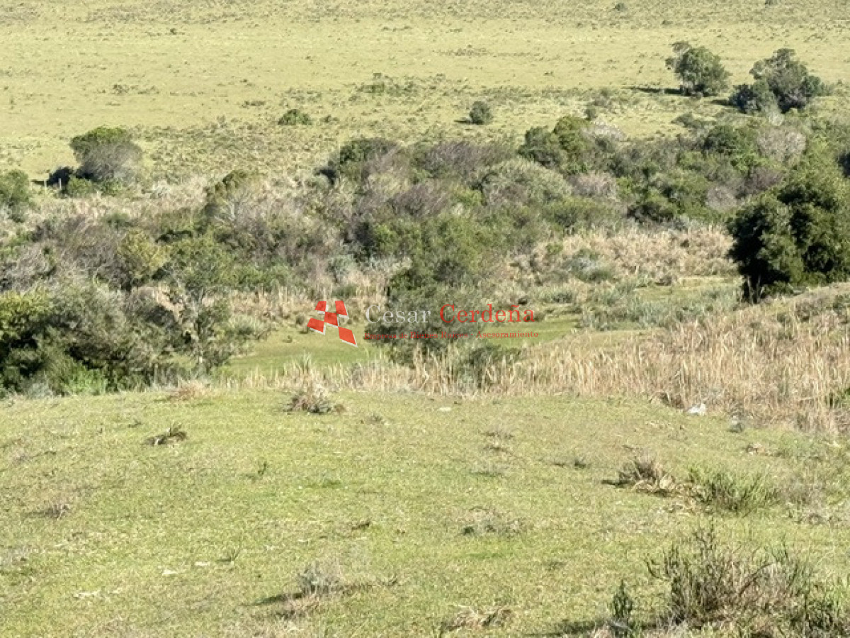 Campo Ref.2018 - VENTA - 117 HAS CASTILLOS