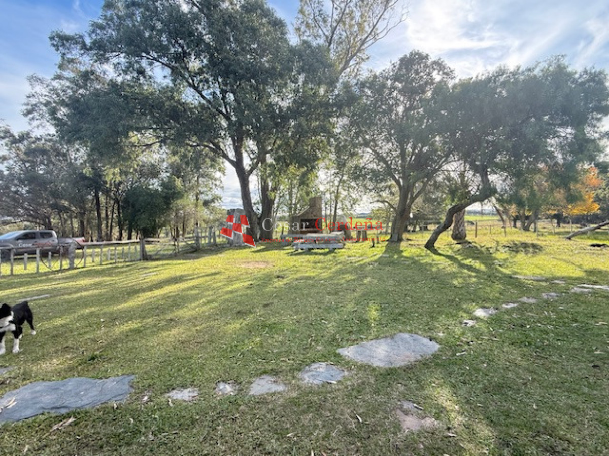 Campo Ref.1998 - VENTA - Campo 358 hectáreas en Garzón, Rocha