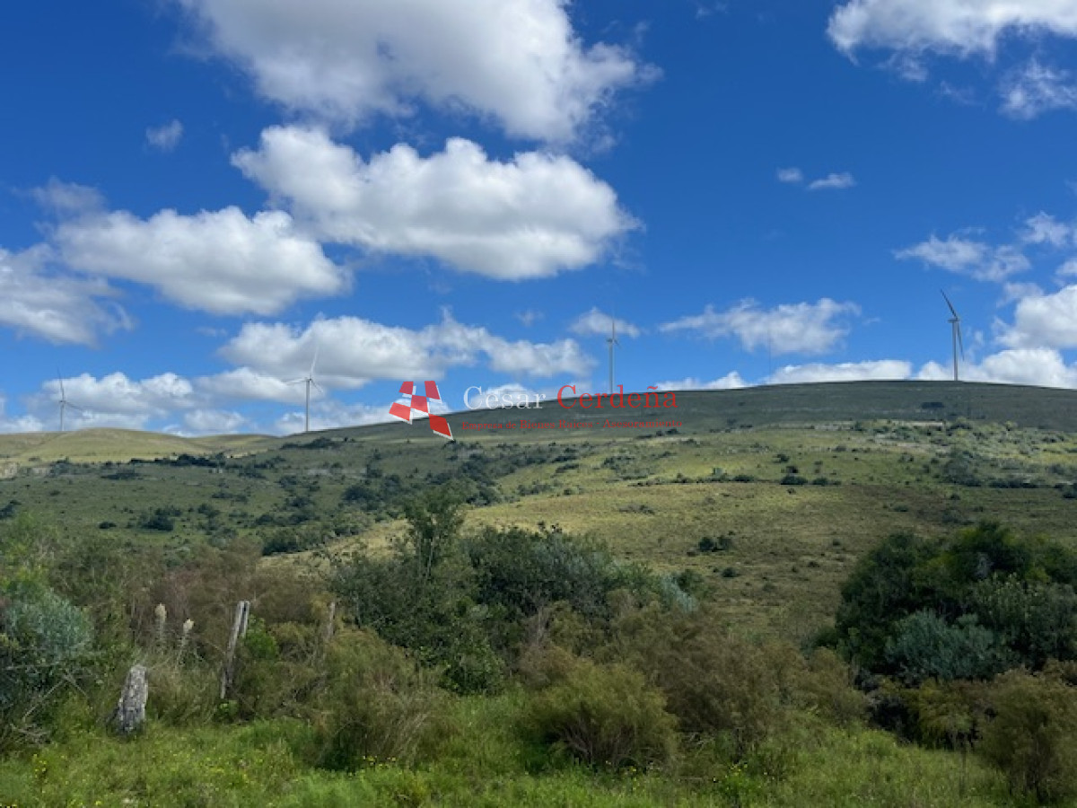 Campo Ref.1900 - VENTA - Campito de 86 hectáreas en las Sierras