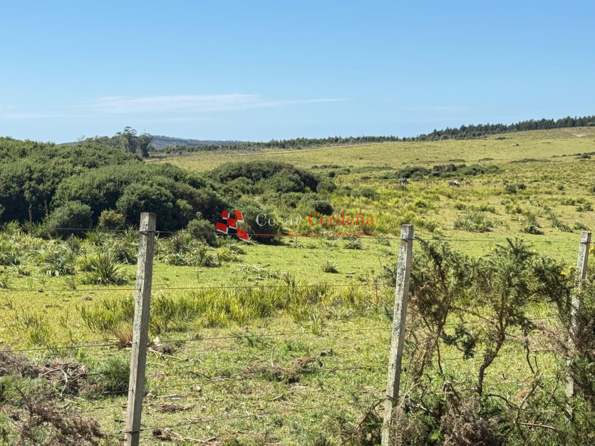 Campo Ref.1990 - VENTA - Campo 112 hectareas en La Carbonera, Rocha