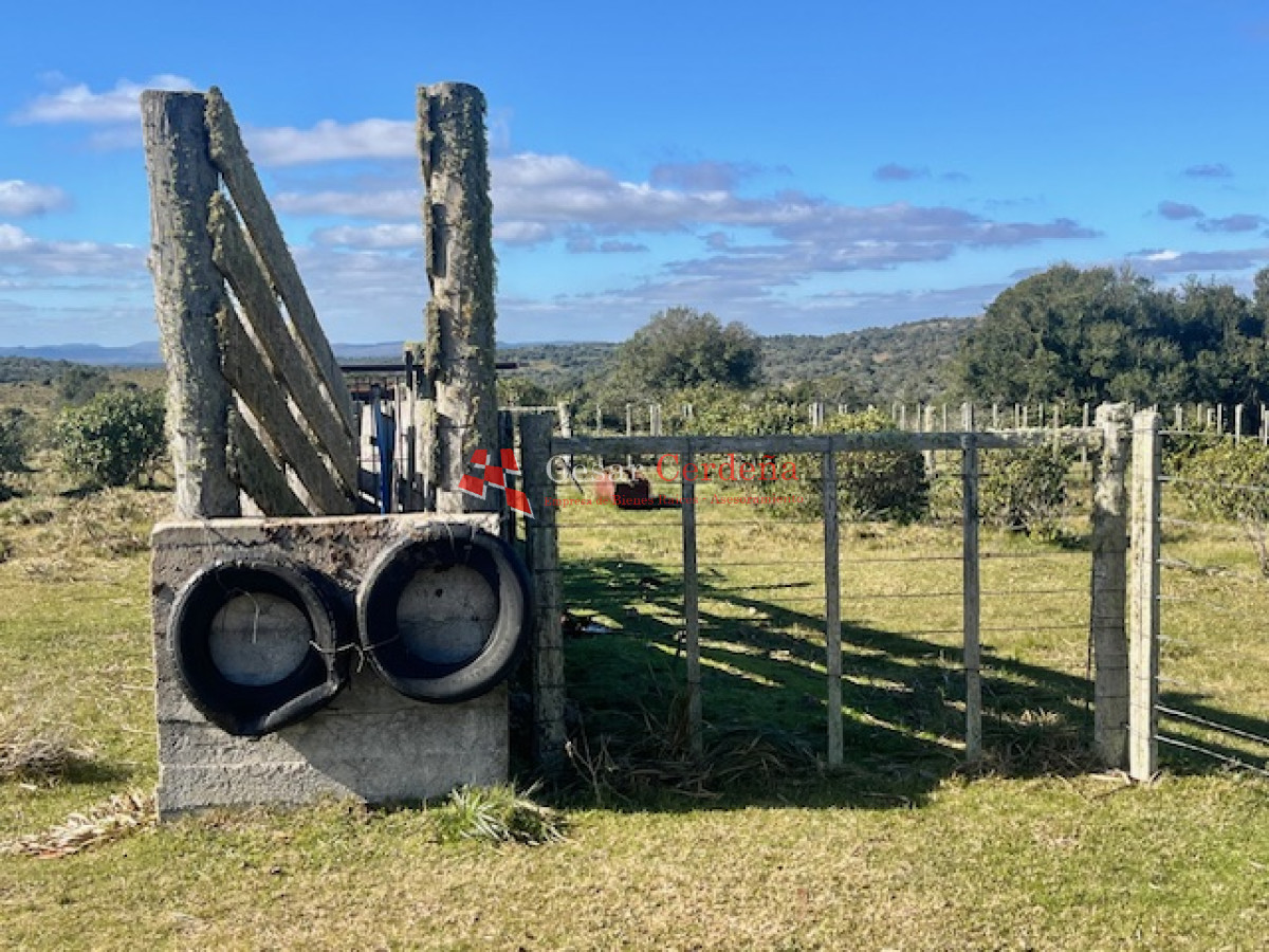 Campo Ref.1887 - VENTA - Campo 79 hectareas ruta 109