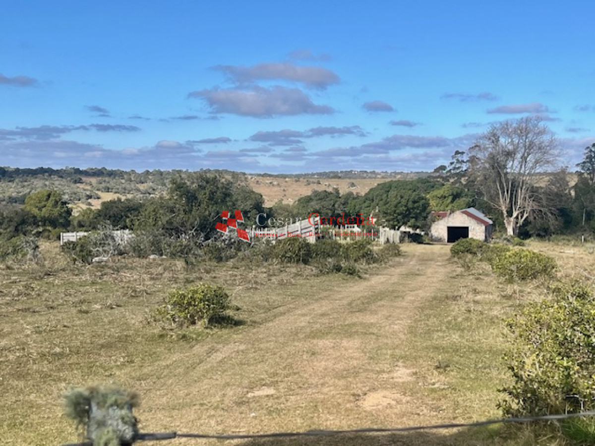 Campo Ref.1887 - VENTA - Campo 79 hectareas ruta 109