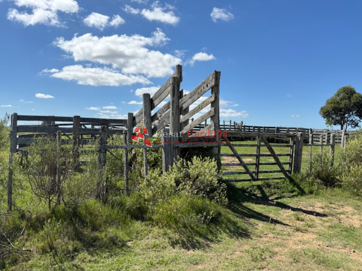 Campo Ref.1947 - VENTA - Campo 316 hectareas en Garzon, Rocha