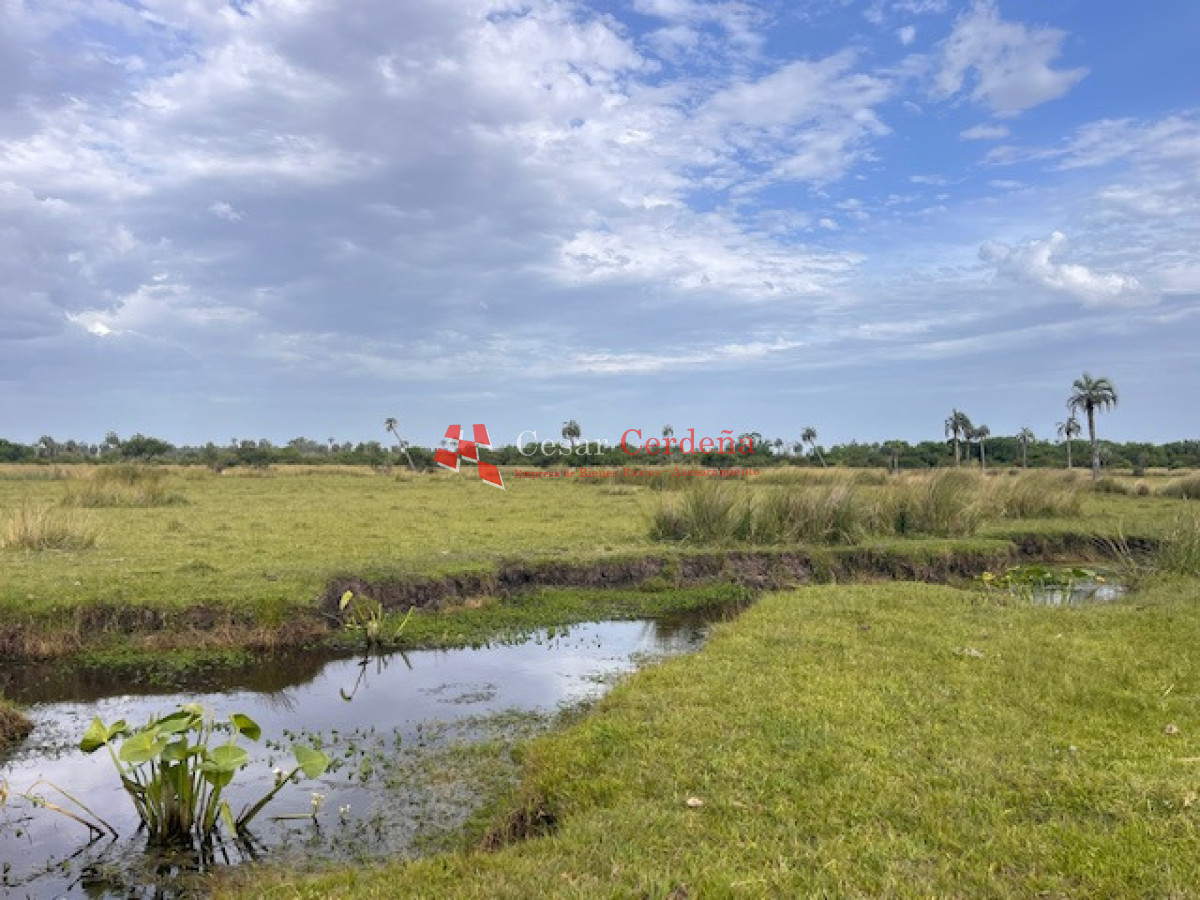 Campo Ref.1952 - VENTA - Campo 138 hectareas en Castillos Rocha