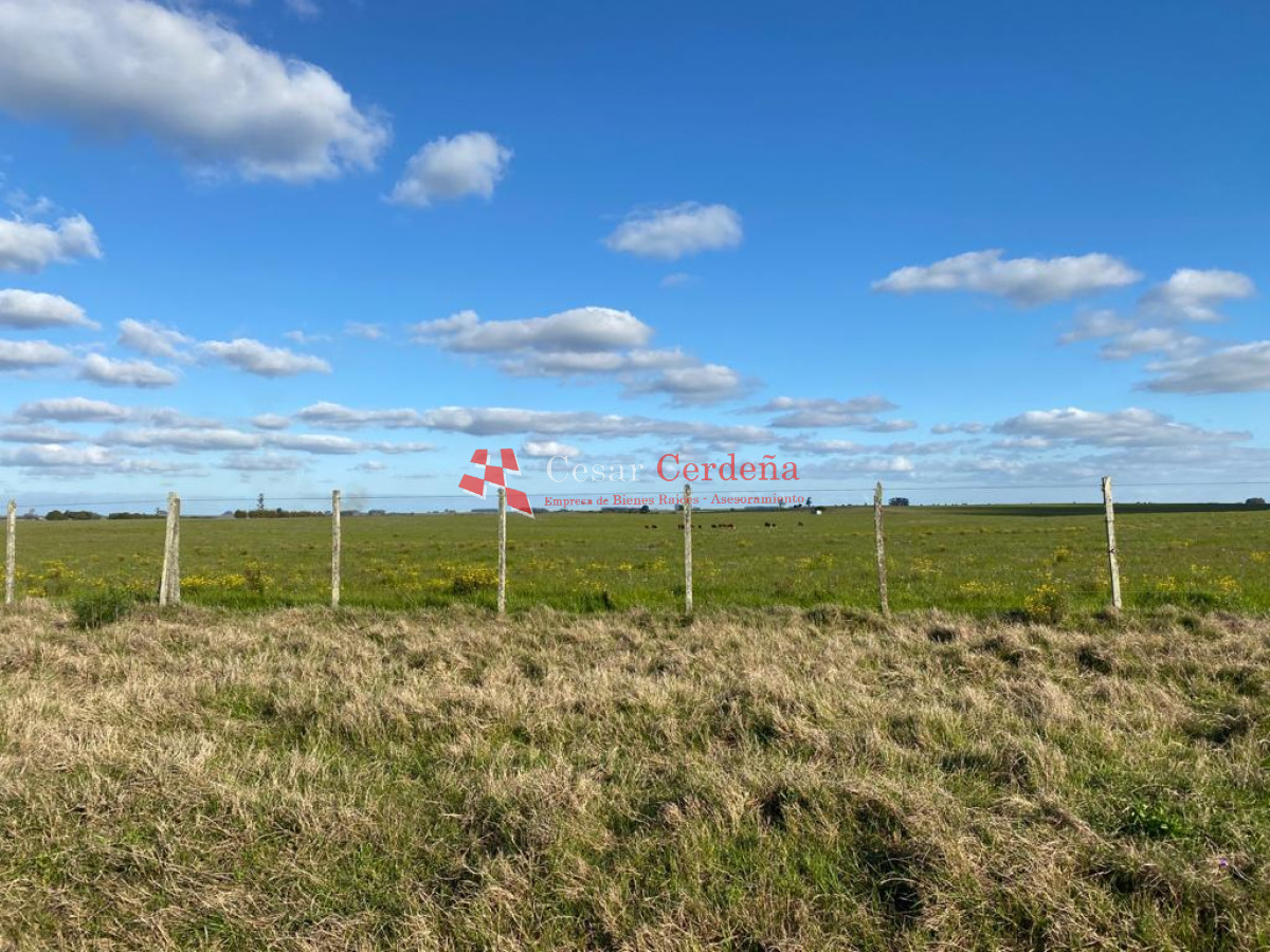 Campo Ref.1661 - VENTA - Campo 890 has Agricolas - Ganaderas en Cerro Largo