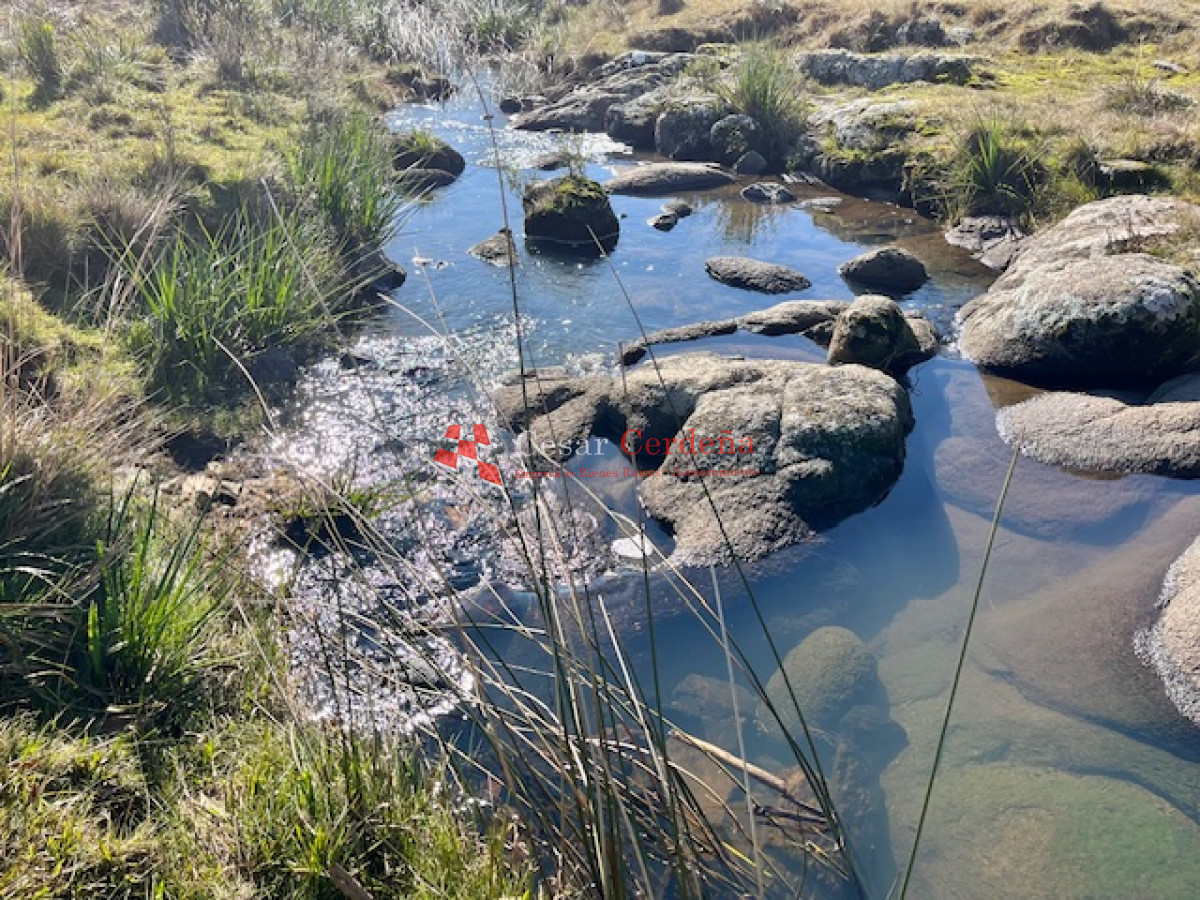 Campo Ref.1887 - VENTA - Campo 79 hectareas ruta 109