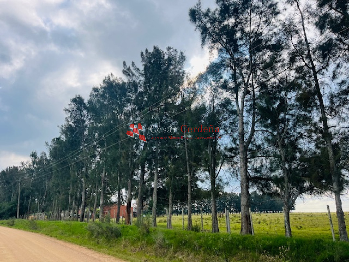 Campo Ref.1937 - VENTA - Campo de 83 hectáreas en Maldonado