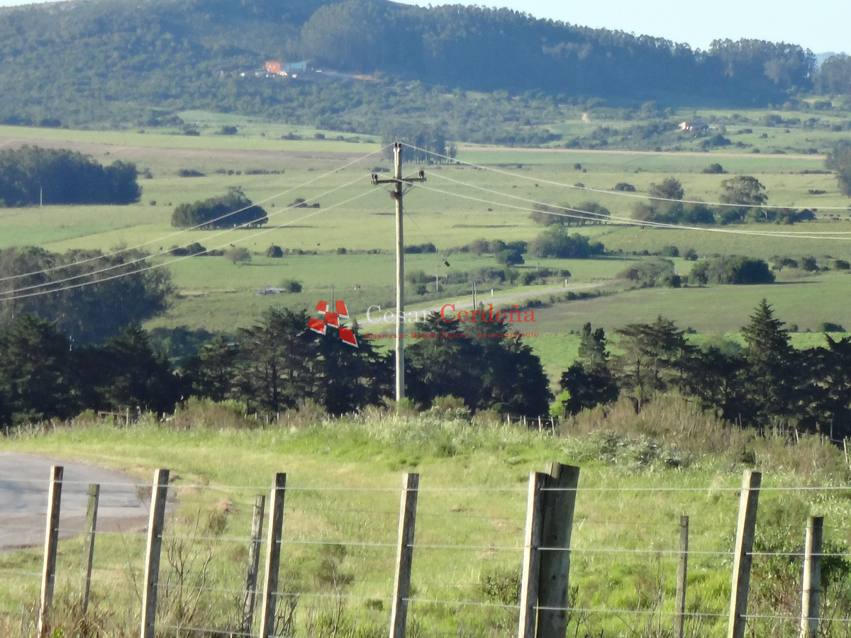 Campo Ref.1938 - VENTA - Campo 1200 hectáreas - Lavalleja