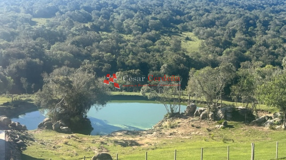 Campo Ref.1886 - VENTA - Campo de 238 hectáreas en zona del Cerro Catedral