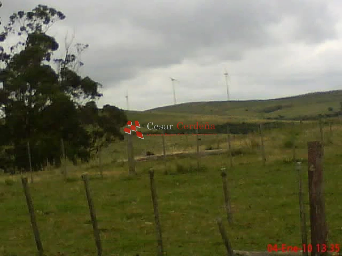 Campo Ref.1936 - VENTA - Campo 240 hectáreas en 19 de Abril - Rocha