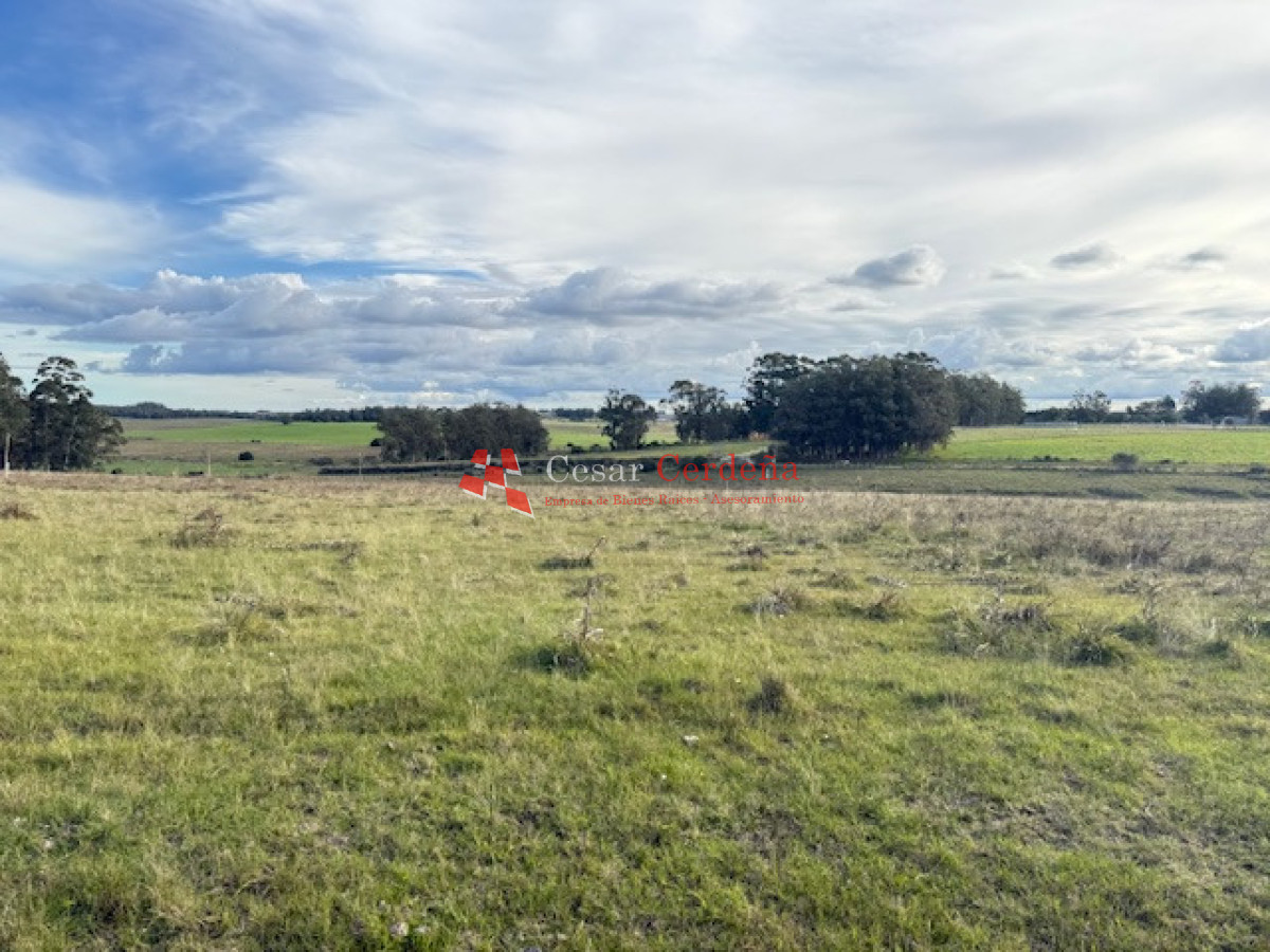 Campo Ref.1998 - VENTA - Campo 358 hectáreas en Garzón, Rocha