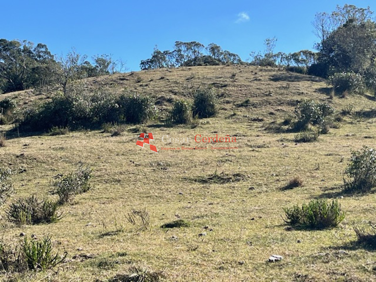 Campo Ref.1887 - VENTA - Campo 79 hectareas ruta 109