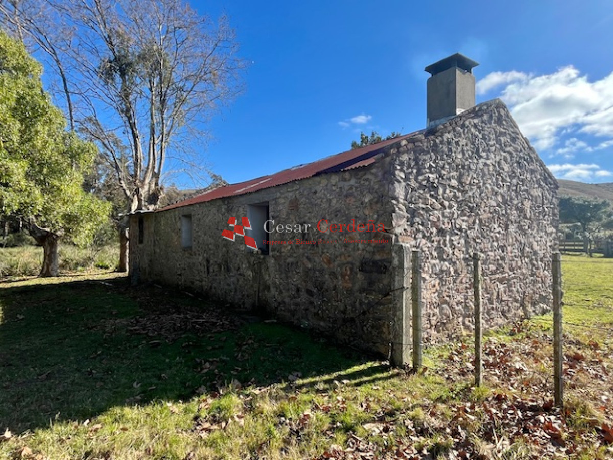 Campo Ref.1887 - VENTA - Campo 79 hectareas ruta 109