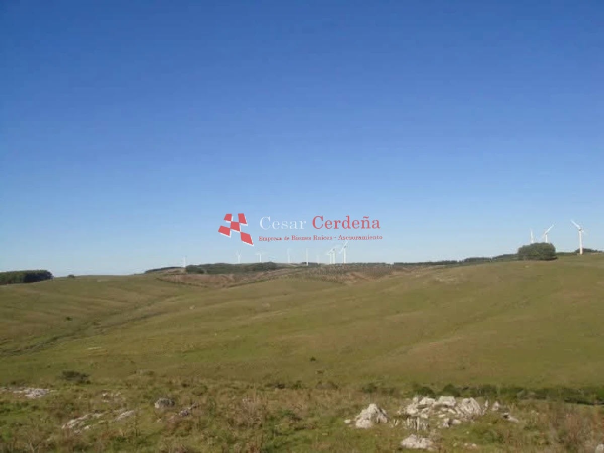 Campo Ref.1936 - VENTA - Campo 240 hectáreas en 19 de Abril - Rocha
